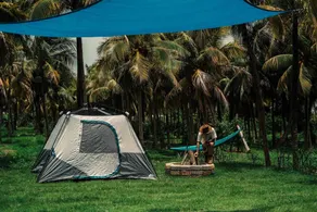Camping area on a palm farm facing the sea - Image 2