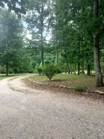 Terralodge: Wild Luxury on Cumberland Plateau - Image 3