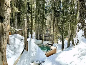 Ski Vacation Perfection in Taos Ski Valley - Image 2