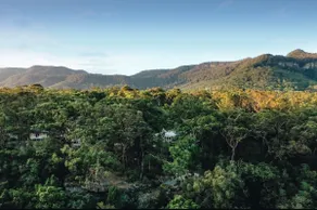 100 Acres of bush, rainforest, creeks - Image 2