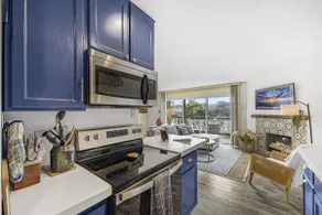 Del Mar Sea Horse Beach Condo - Image 4
