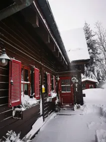 Weißeritzhütte large apartment (”Zum Silberstollen”) - Image 5