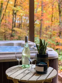 Couples Paradise! HotTub | Firepit | 100s of 5*s - Image 3
