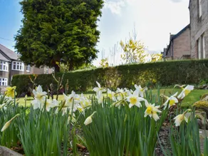 Tarn House - Image 2