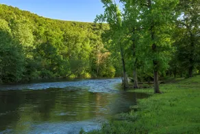 Riverside Cabin | Kayaks | Mountains | Stargazing - Image 4