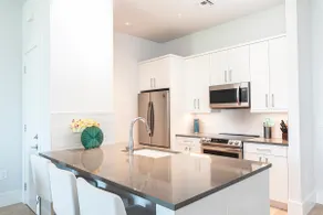 SoCe Flats 308 - West Facing Luxury Downtown Condo - Image 5