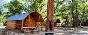 1 Room Rustic Cabin - Image 2