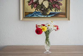 Vacation home on Reichenau Island - Image 5