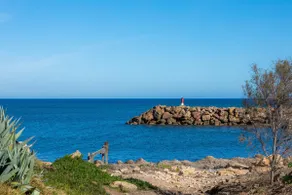 My White Son Serra de Marina - Image 5
