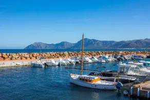 My White Son Serra de Marina - Image 2
