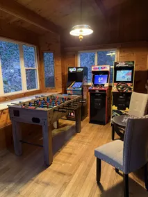 Afton Escape! NEW Arcade, Wineries, Breweries - Image 5