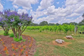 Romantic Couples Getaway at Fall Creek Vineyards - Image 3
