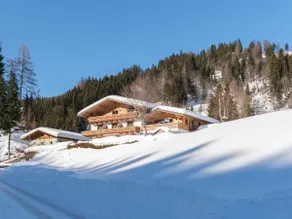 Cosy Apartment in Radstadt near Ski Lift - Image 4