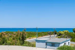 Coastal Pine - Image 4