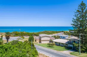 Coastal Pine - Image 2