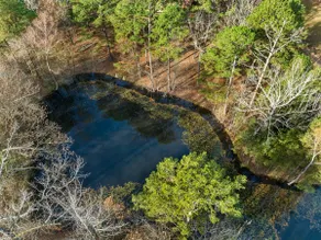 Excellent location! Pond View Near Beavers Bend - Image 3