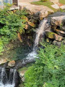 Save 15% Off 4 Night Stay! Amazing Waterfall/Lake Views! Pool, Dock! - Image 5