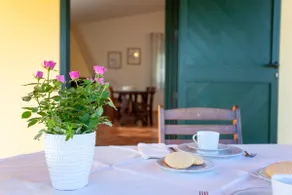 Casa Barvis - Image 3
