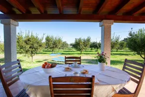 Casa Barvis - Image 2