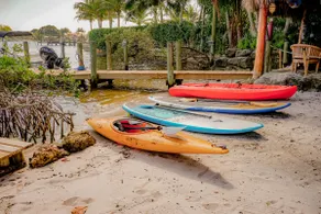 The River House: Private Beach AND Boat Included! - Image 4