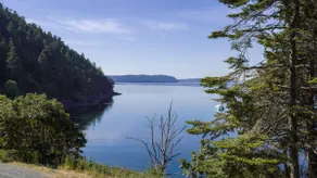 Orcas Island, Rosario Hillside Retreat #278 - Image 4