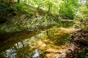 Water Music - Image 4