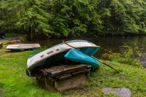 Black Ridge Cottage: Pond, Cowboy Pool & Sauna - Image 4