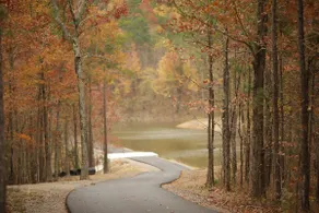 Lakeside | Hot Tub | Kayaks | Fishing - Image 5
