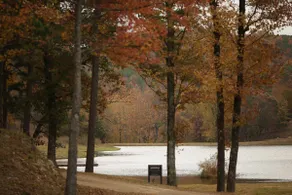 Lakeside | Hot Tub | Kayaks | Fishing - Image 4