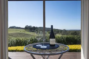 Mistress Block Vineyard - The Studio - Image 4