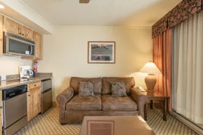 Grand Lodge Condo in the Heart of Mt Crested Butte - Image 3