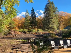 Basecamp Lodge | Cabin 5 - Image 4