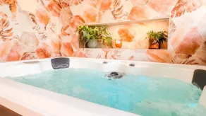 Atoumo F2 Jacuzzi and Disney Garden - Image 4