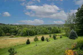 Redtail Haven: Your Gateway to Nature's Bounty - Image 5