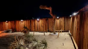 TheJoshuaTreeForest:FREE*HeatedSaltPool,Billiards! - Image 5