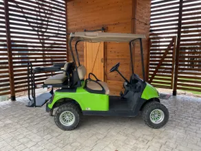 Golf Cart Included + Enclosed Turf Yard - Image 2