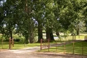 Tincleton Lodge - Image 5