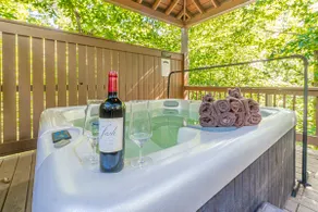 LUXURY SECLUDED LOG CABIN | POOL TABLE | HOT TUB - Image 3