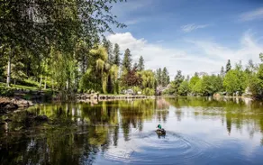 Manito Park Views! Explore 90 acres of Beauty! - Image 5