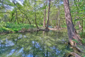Creekside Cabins - Cypress Creek House - Image 2