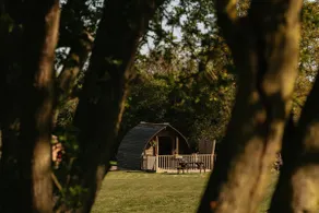 Cosy Glamping Cabin near Bury St Edmunds - Image 2