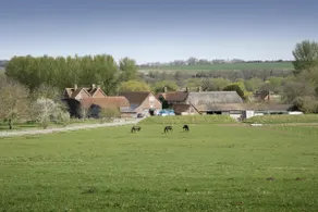 Bridge Farmhouse - Image 3
