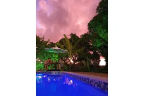 Heated pool • Jacuzzi • Nearby square - Green - Image 5