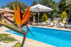 Sa Casa Nova - Image 5