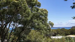 Nestled among the Trees with Beach Views, easy walk to Bouddi National Park - Image 3