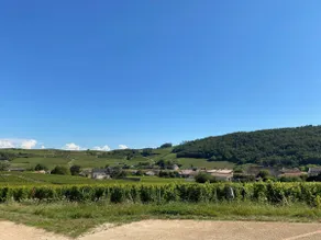 Les Hirondelles de Fuissé - Image 3