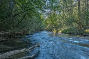 New Fire Pit! 3 King Suites, Creek, 15 mins 2 BR - Image 3