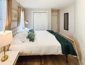 (P-102) Bright 1-Bedroom Apartment in Fenway - Image 3