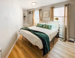 (P-102) Bright 1-Bedroom Apartment in Fenway - Image 4