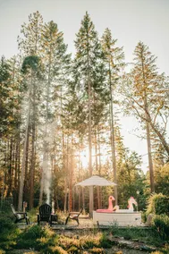 Tiny Cabin in the Woods with Hot Tub & Alpaca Rescue - Image 5